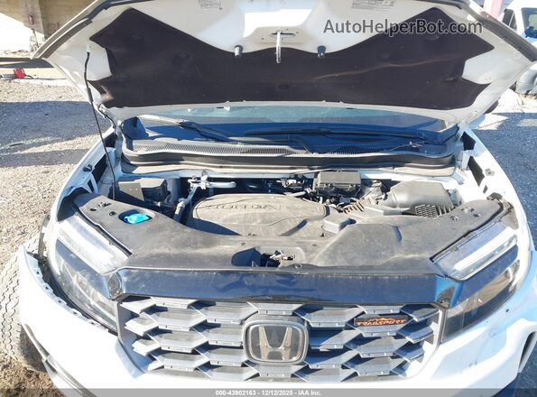 5FNYF8H64RB021702 2024 HONDA PASSPORT White Widok z tyłu