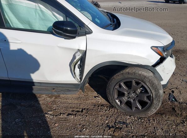 5FNYF8H64RB021702 2024 HONDA PASSPORT White Widok z przodu