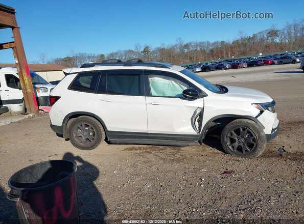 5FNYF8H64RB021702 2024 HONDA PASSPORT White Widok wnętrza z tyłu