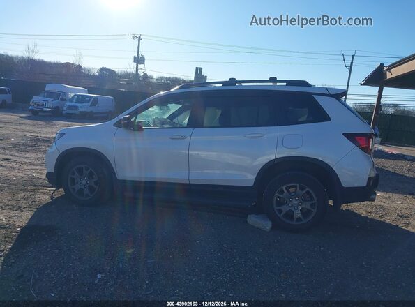 5FNYF8H64RB021702 2024 HONDA PASSPORT White Widok wnętrza 360 stopni