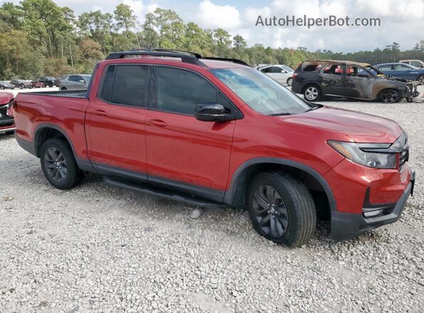 5FPYK3F12MB021378 2021 HONDA RIDGELINE Красный Передняя правая четверть