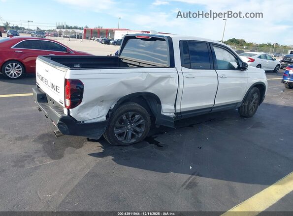 5FPYK3F12RB017239 2024 HONDA RIDGELINE Белый Задняя правая четверть