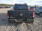 2021 Honda Ridgeline Rtl Черный vin: 5FPYK3F51MB026042 2021 Honda Ridgeline Rtl Черный vin: 5FPYK3F51MB026042