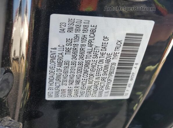 5FPYK3F71PB033739 2023 HONDA RIDGELINE Black Vista de la etiqueta del VIN