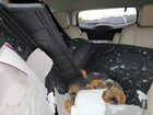 2023 Buick Enclave Essence Белый vin: 5GAERBKW7PJ166496