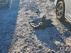 2016 Infiniti Qx60 Белый vin: 5N1AL0MM9GC512191