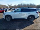 2023 Infiniti Qx60 Luxe Awd White vin: 5N1DL1FS3PC373724