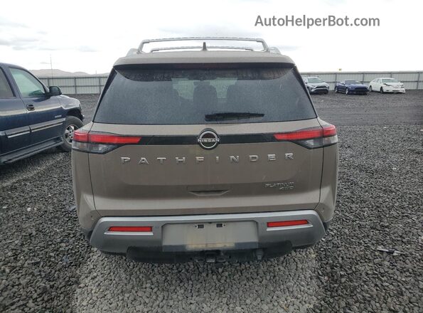 5N1DR3DK2PC216134 2023 NISSAN PATHFINDER Желто-коричневый Вид сзади