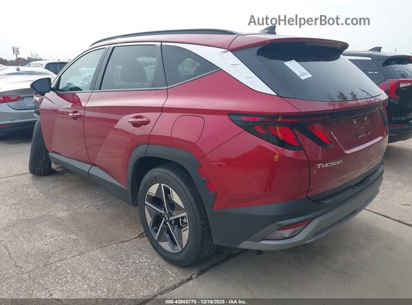 5NMJB3DE2TH614140 2026 HYUNDAI TUCSON Красный Задняя левая четверть