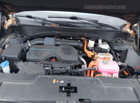 5NMP24G16RH007370 2024 HYUNDAI SANTA FE HYBRID Черный Вид сзади
