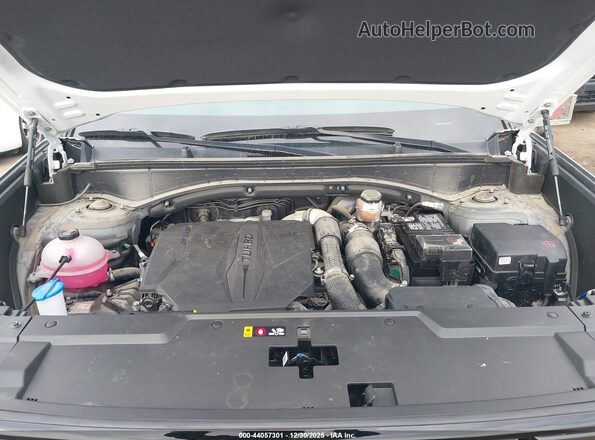 5NMP3DGL2RH057133 2024 HYUNDAI SANTA FE Gray Вид ззаду