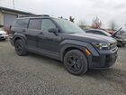 2025 Hyundai Santa Fe Xrt Black vin: 5NMP3DGL4SH097865