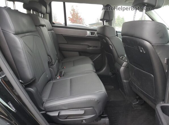 5NMP3DGL4SH097865 2025 HYUNDAI SANTA Black Widok wnętrza z tyłu