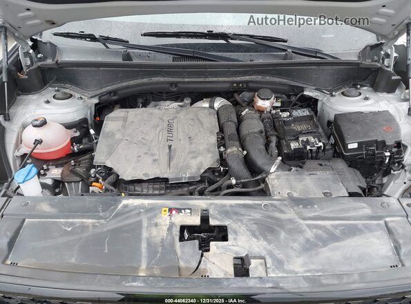 5NMP3DGL8RH040269 2024 HYUNDAI SANTA FE Silver Widok z tyłu