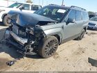 2024 Hyundai Santa Fe Calligraphy Gray vin: 5NMP54GL5RH061493