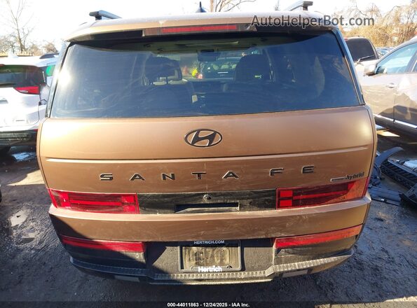 5NMP5DG10RH007162 2024 HYUNDAI SANTA FE HYBRID Brown 