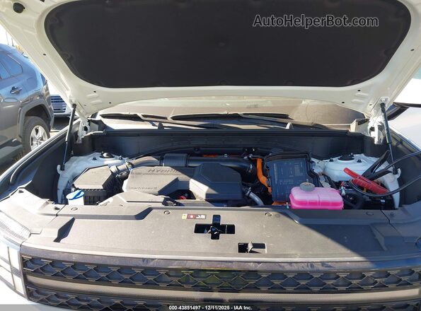 5NMP5DG12TH088608 2026 HYUNDAI SANTA FE HYBRID White Widok z tyłu