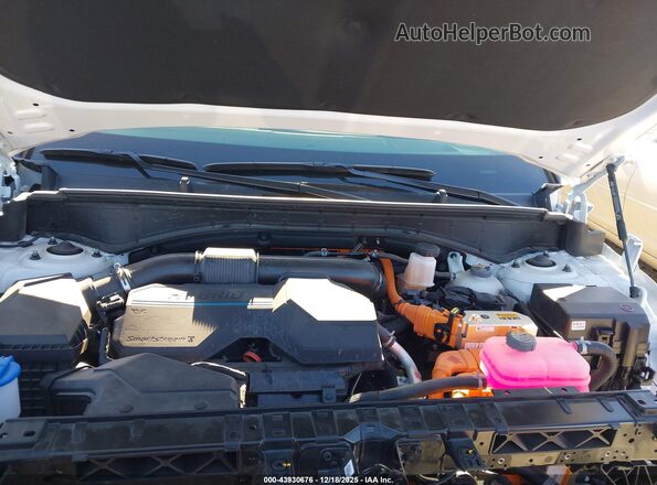5NMP5DG16RH010180 2024 HYUNDAI SANTA FE HYBRID Белый Вид сзади