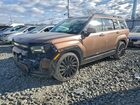 2025 Hyundai Santa Fe Calligraphy Brown vin: 5NMP5DGL0SH110797
