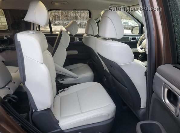 5NMP5DGL6RH062846 2024 HYUNDAI SANTA FE CALLIGRAPHY Brown Widok wnętrza z tyłu