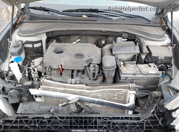 5NMS2CAD5LH198715 2020 HYUNDAI SANTA FE Серый Вид сзади