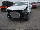 2020 Hyundai Santa Fe Sel White vin: 5NMS3CAD6LH303310