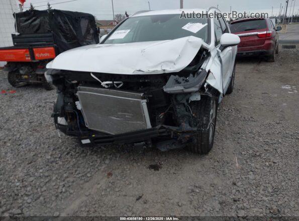 5NMS3CAD6LH303310 2020 HYUNDAI SANTA FE White Widok z przodu