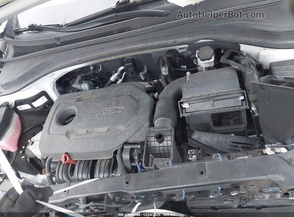 5NMS3CAD6LH303310 2020 HYUNDAI SANTA FE White Widok z tyłu