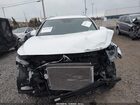 2020 Hyundai Santa Fe Sel White vin: 5NMS3CAD6LH303310