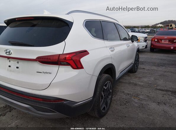 5NMS3DA12PH007444 2023 HYUNDAI SANTA FE HYBRID White Tył prawy