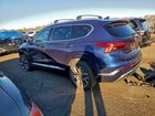 2023 Hyundai Santa Fe Calligraphy Blue vin: 5NMS54AL4PH597450
