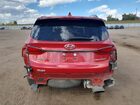 2020 Hyundai Santa Fe Limited Красный vin: 5NMS5CAA5LH144618