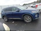 2020 Hyundai Santa Fe Limited Dark Blue vin: 5NMS5CAD7LH152956