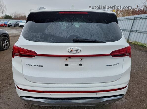 5NMS5DAL3PH525896 2023 HYUNDAI SANTA FE CALLIGRAPHY White Rear view