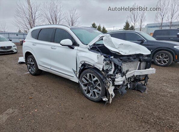 5NMS5DAL3PH525896 2023 HYUNDAI SANTA FE CALLIGRAPHY White Front right