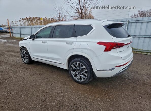 5NMS5DAL3PH525896 2023 HYUNDAI SANTA FE CALLIGRAPHY White Rear left