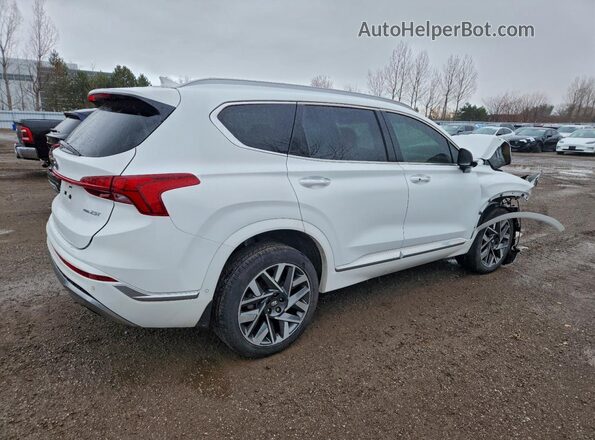 5NMS5DAL3PH525896 2023 HYUNDAI SANTA FE CALLIGRAPHY White Rear right