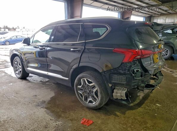 5NMS5DAL9MH317579 2021 HYUNDAI SANTA FE CALLIGRAPHY Black Tył prawy