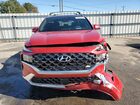 2023 Hyundai Santa Fe Calligraphy Red vin: 5NMS5DAL9PH574407