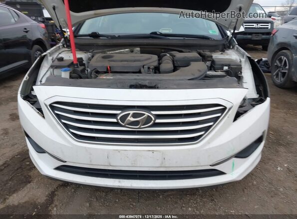 5NPE24AF2GH329189 2016 HYUNDAI SONATA Белый Вид задней части салона