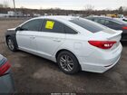 2016 Hyundai Sonata Se Белый vin: 5NPE24AF2GH329189