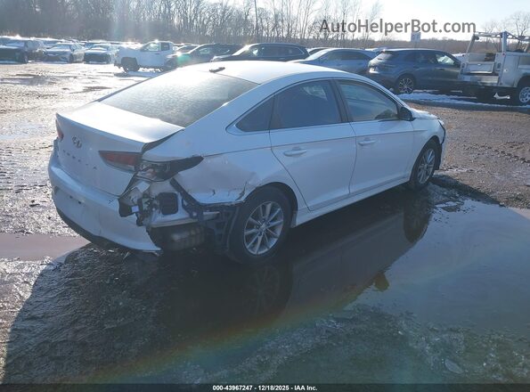 5NPE24AF2JH655081 2018 HYUNDAI SONATA Белый Задняя правая четверть