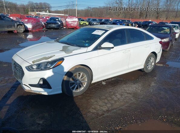 5NPE24AF2JH655081 2018 HYUNDAI SONATA Белый Передняя левая четверть