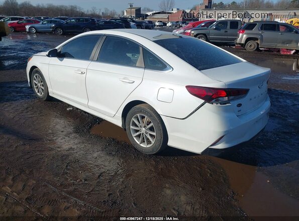 5NPE24AF2JH655081 2018 HYUNDAI SONATA Белый 
