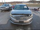2017 Hyundai Sonata   Light Blue vin: 5NPE24AF7HH466484