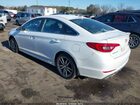2017 Hyundai Sonata Sport 2.0t Белый vin: 5NPE34AB0HH577596