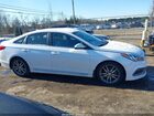 2017 Hyundai Sonata Sport 2.0t Белый vin: 5NPE34AB0HH577596