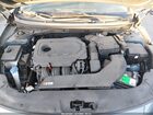 2017 Hyundai Sonata Sport Синий vin: 5NPE34AF8HH550620