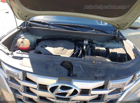 5NTJB4AE9PH043668 2023 HYUNDAI SANTA CRUZ Серый Вид сзади