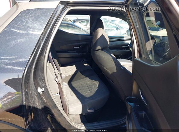 5NTJB4DEXRH104783 2024 HYUNDAI SANTA CRUZ Black Vista de la etiqueta del VIN